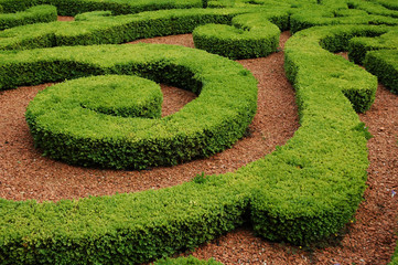 labyrinthe végétal