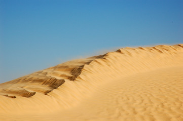 dune wind