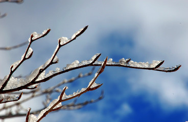 soon springtime