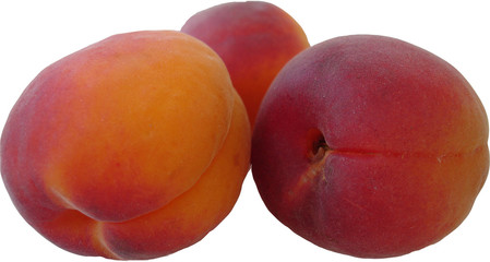 peau d'abricots