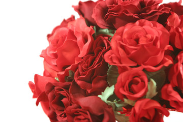 red roses