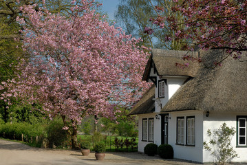 Fototapeta premium landhaus im frühling
