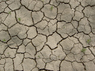 terre de sécheresse
