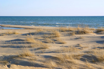 overview of a grassy beach at dusk