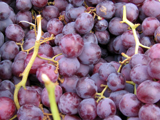 blue grapes