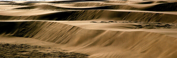 dunes