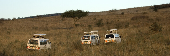safari en 4x4 © Eric Isselée