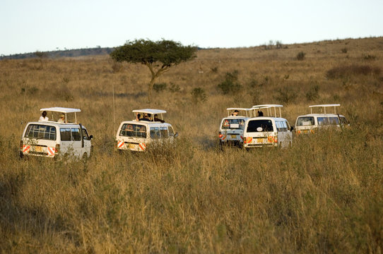 Fototapeta safari en 4x4