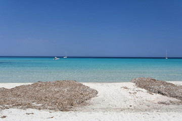 plage corse