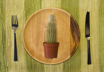 cactus on the plate