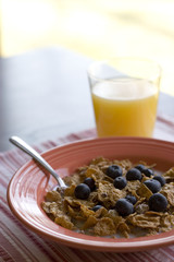 bowl of creal with juice