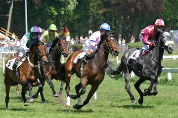 Crédence de cuisine en verre imprimé Léquitation horses at racetrack