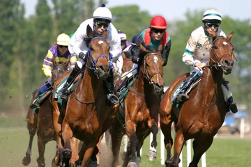 Crédence de cuisine en verre imprimé Léquitation horses at racetrack