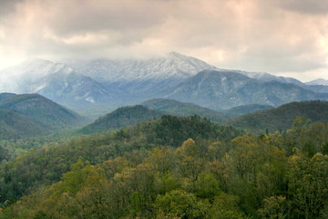 spring snowstorm