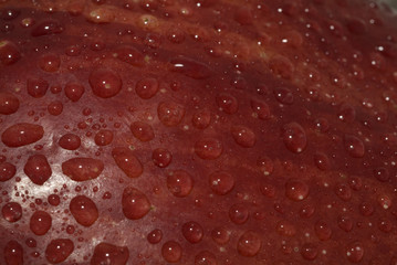 macro photo of water drop on an apple