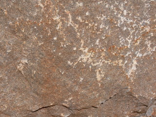 Naklejka premium stein