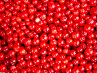 preiselbeeren