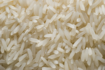 riz macro grains
