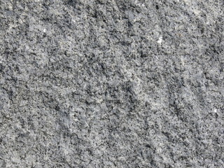 stein