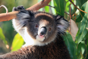 australien_07_0238