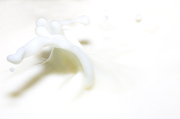 milk splash