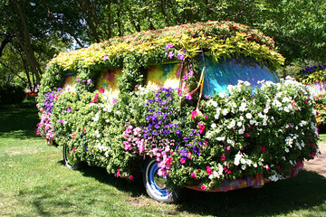 flower van