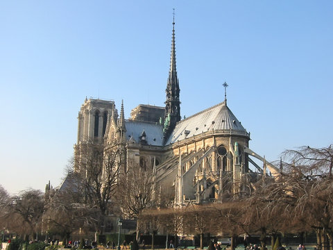 cathedral of paris with trees, island of the city, france