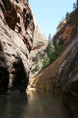 zion narrows