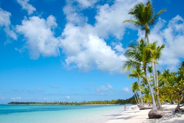 carribean beach