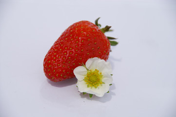 fraise et fleur