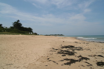 plage île de ré