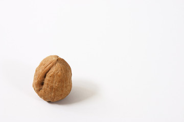 walnut