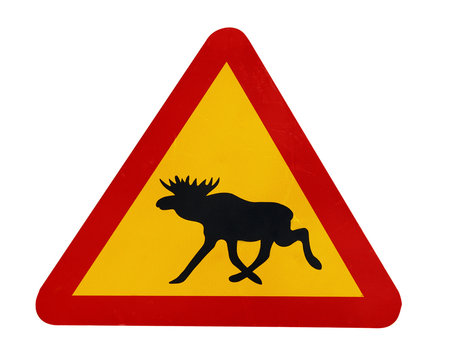 traffic sign warning for moose