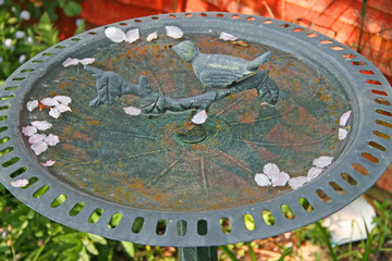 bird bath with blossoms