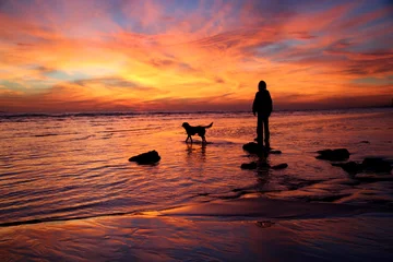 Zelfklevend Fotobehang Zonsondergang aan zee jongen en hond