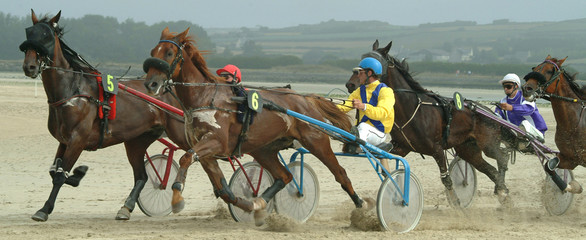 course de chevaux