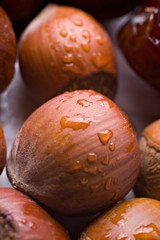 hazelnuts extreme close-up