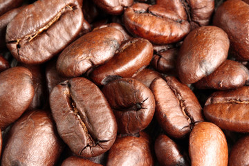 coffee beans macro