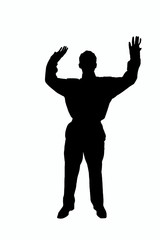 silhouette of a businessman