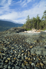 pebbled beach