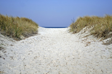 Fototapeta na wymiar pathway in dune