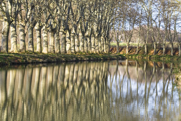 paysages 270