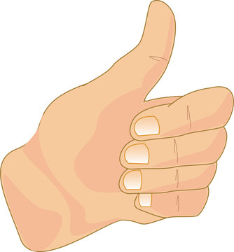 676 Best Pouce Leve Images Stock Photos Vectors Adobe Stock