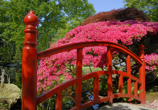 red bridge in japanese garden
