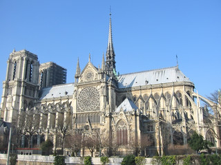 Fototapeta na wymiar katedra w Paryżu, wyspa miasta, francja