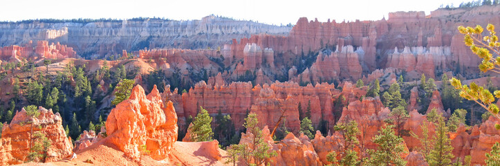 forest of red and white peaks, bryce national park, united state