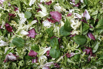 fresh salad background