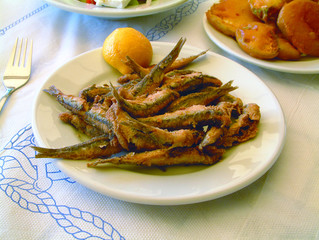 fish food