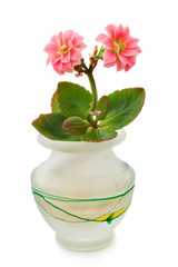 flowers in small vase