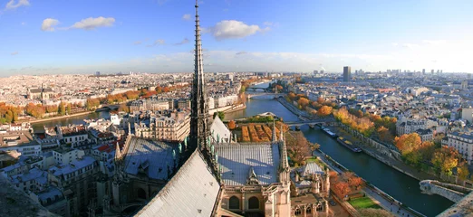 Fotobehang toits de notre dame paris © Beboy
